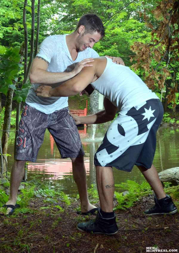 bagarre-foret bagarre-foret