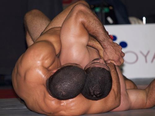 calins-lutteurs calins-lutteurs